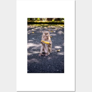 Little cheeky monkey with banana Posters and Art